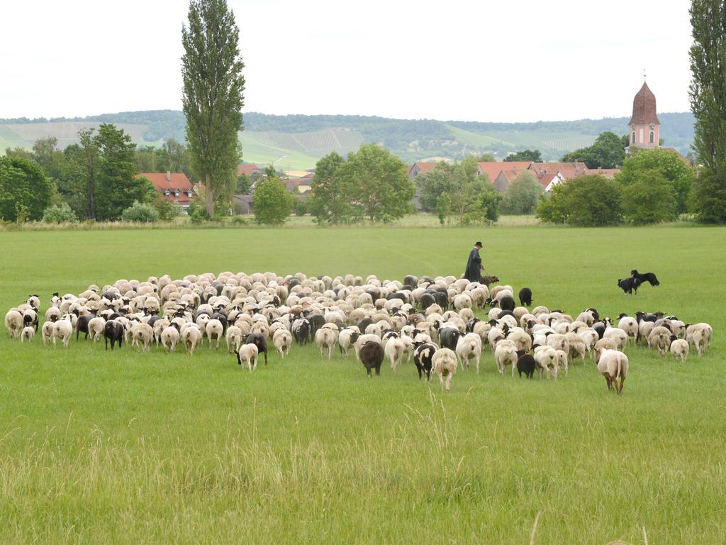 Ferienwohnungen Schuh Ipsheim Esterno foto
